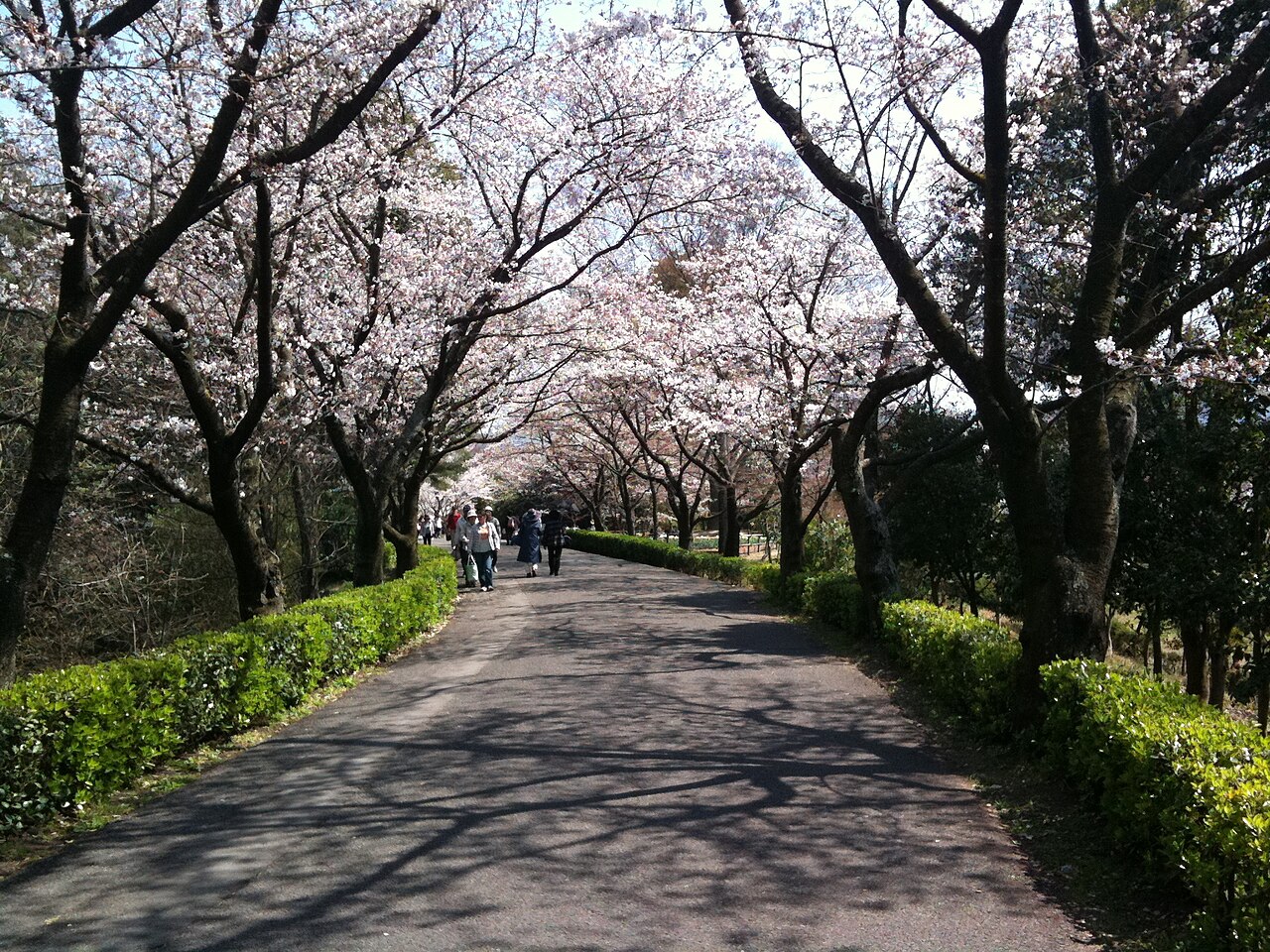 公渕森林公園